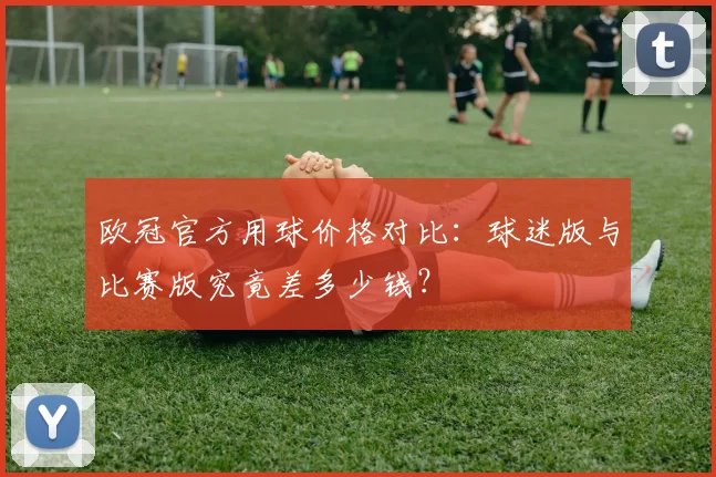 欧冠官方用球价格对比：球迷版与比赛版究竟差多少钱？