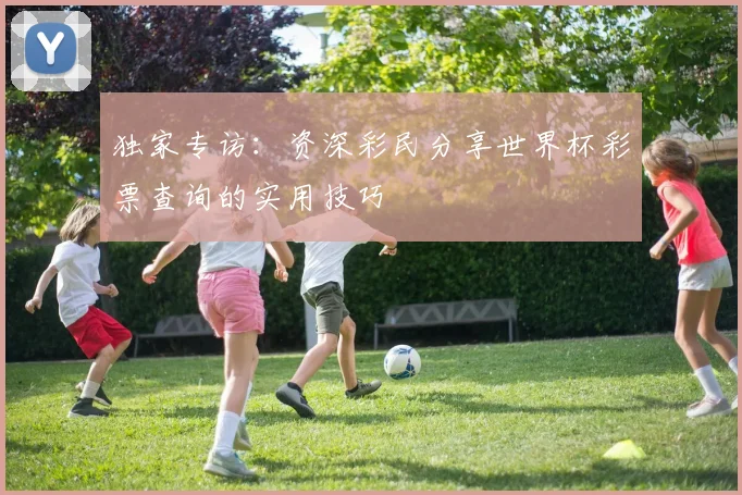 独家专访：资深彩民分享世界杯彩票查询的实用技巧