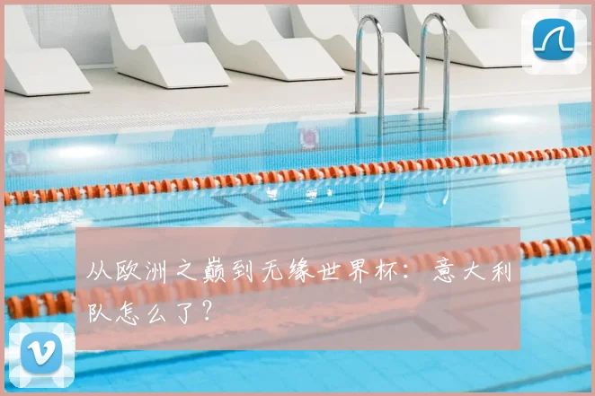 从欧洲之巅到无缘世界杯：意大利队怎么了？