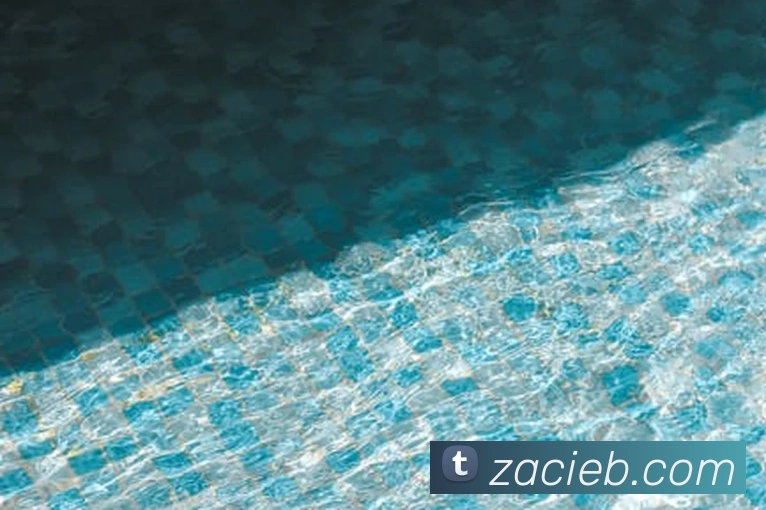 国际米兰官方网站平台生态图